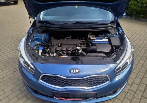 Kia Ceed cena 36900 przebieg: 169000, rok produkcji 2015 z Krzywiń małe 301